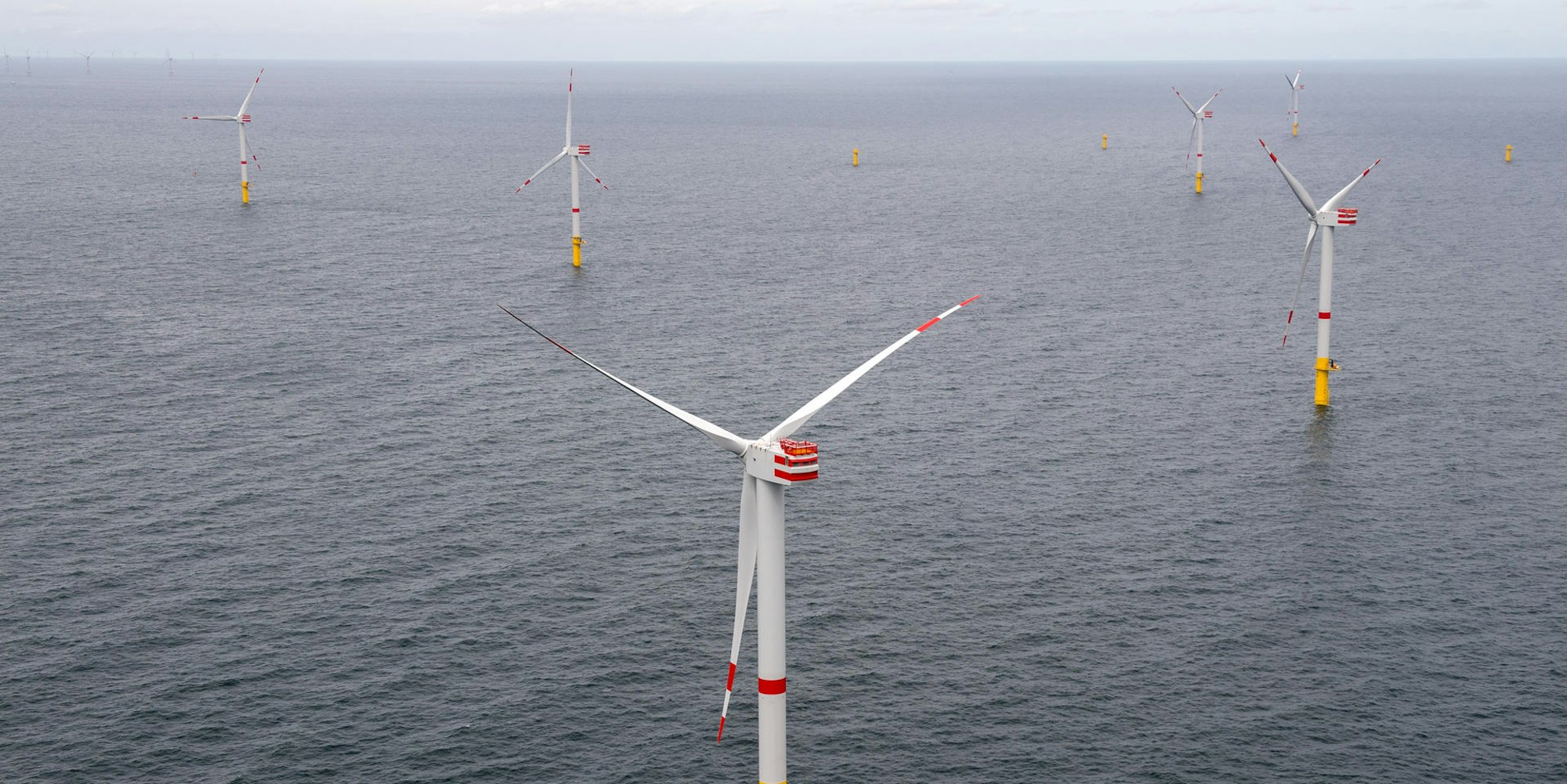 Windräder eines Offshore-Windparks