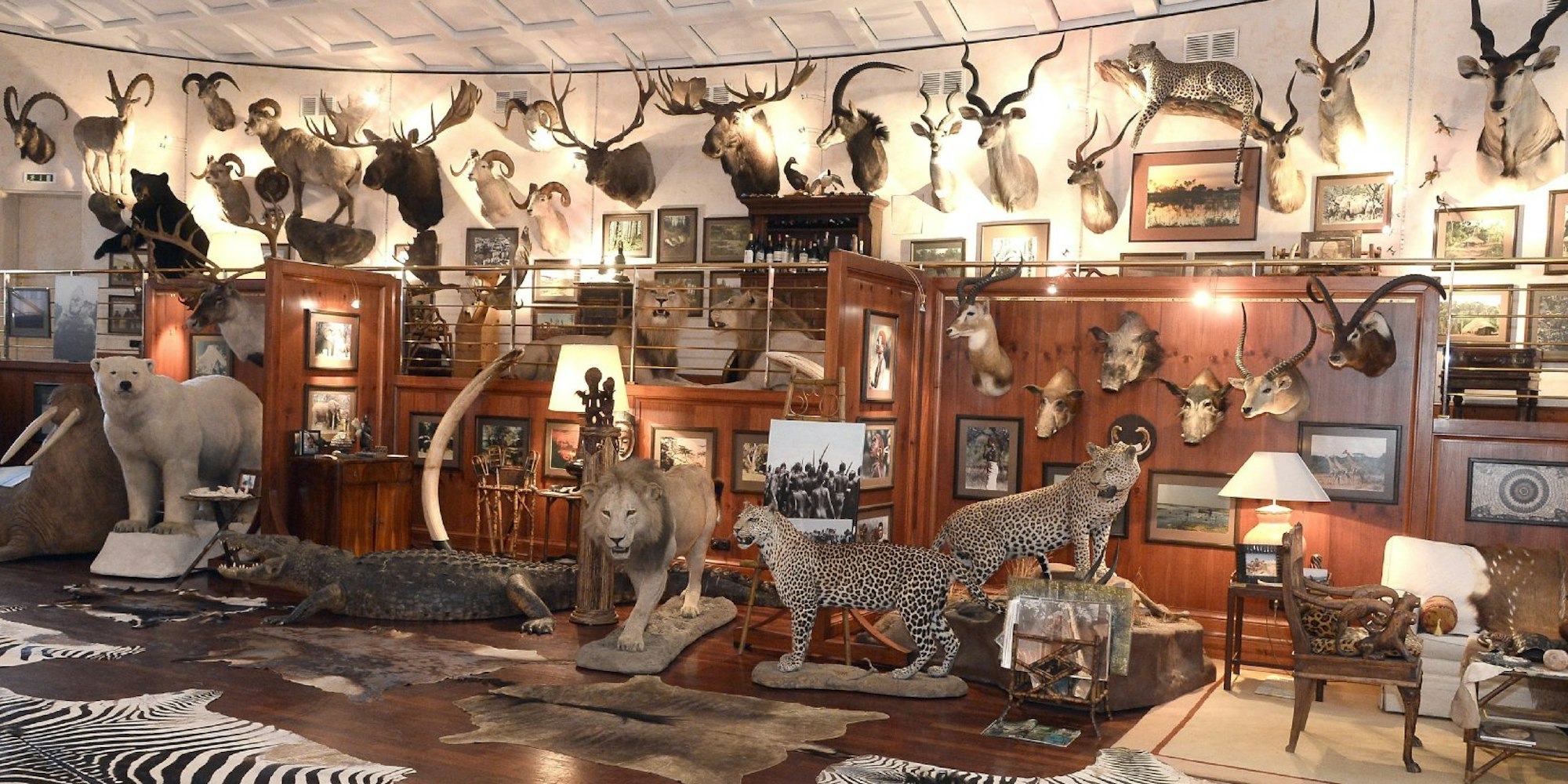 Auf 200 Quadratmetern hat Bellinger Löwen, Leoparden, Eisbären und andere präparierte Tiere in seinem Privatmuseum ausgestellt.