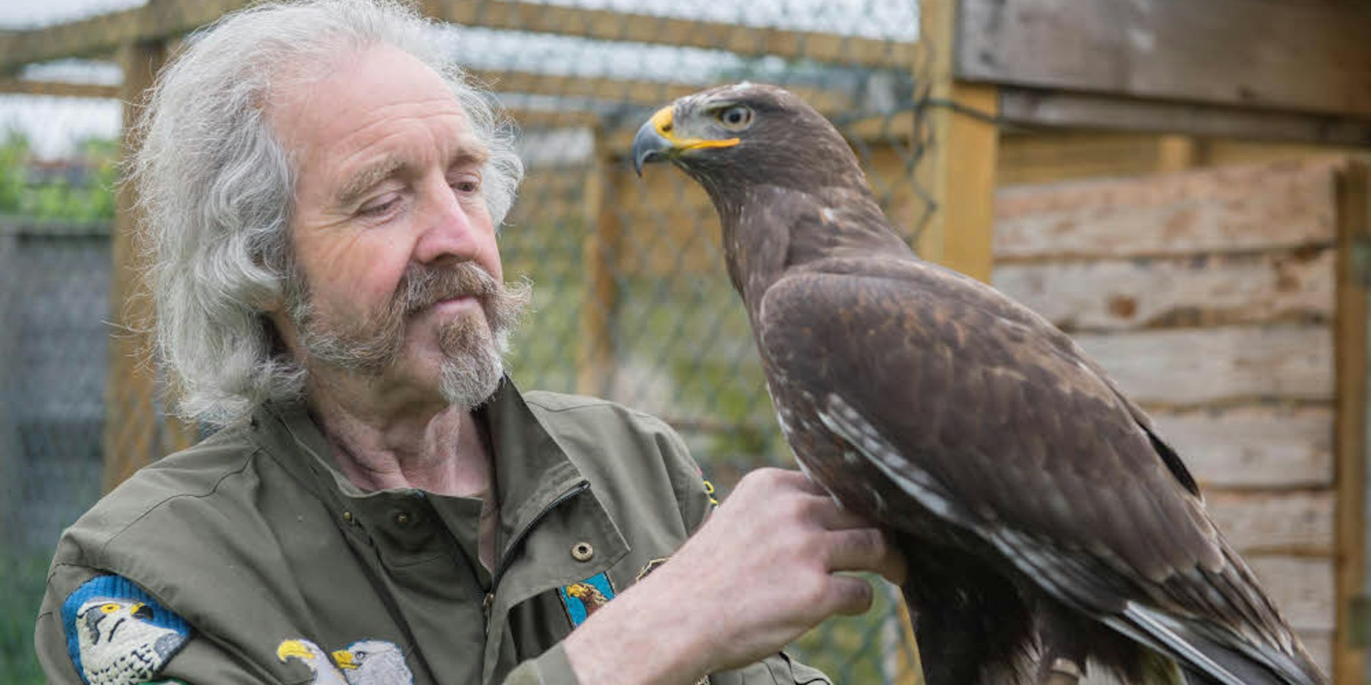 Der Königsrauhfußbussard Tessa hat bei dem Greifvogelexperten Hajo Lehser eine neue Heimat gefunden.