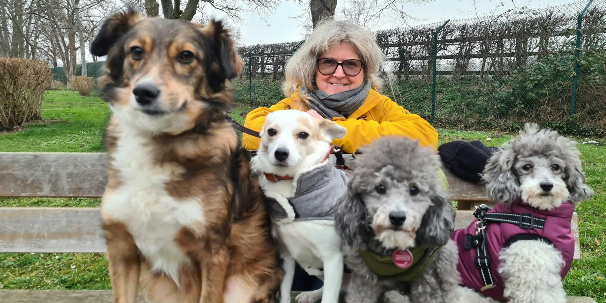 Karin Chauchet findet, dass die Hundesteuern in Bergheim zu hoch sind.