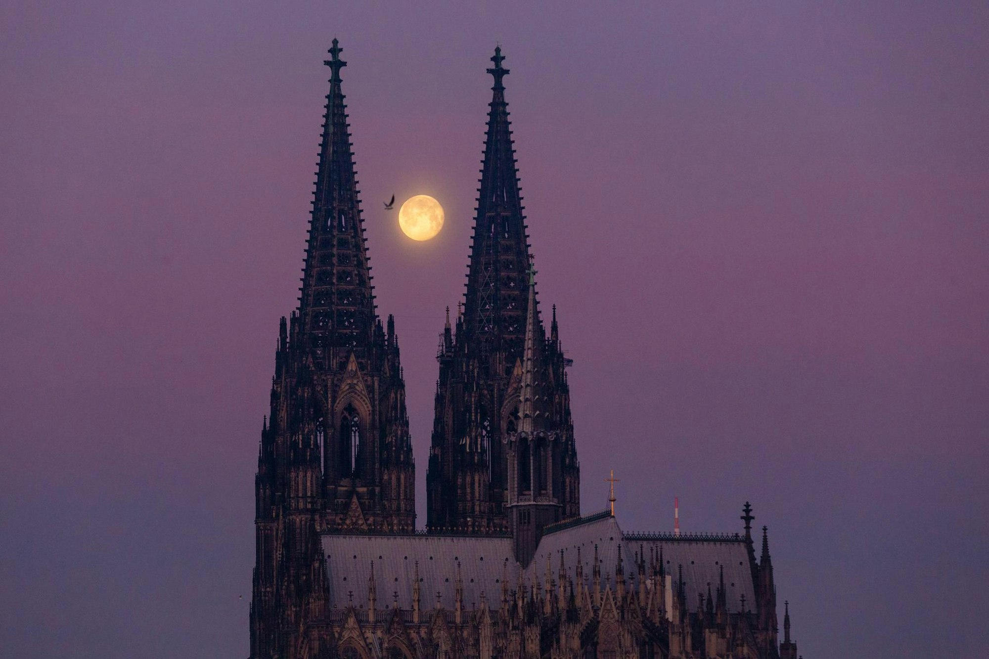 20. Januar 2020, 8.10 Uhr: Der abnehmende Mond steht exakt zwischen den Türmen des Kölner Doms (Südosten).