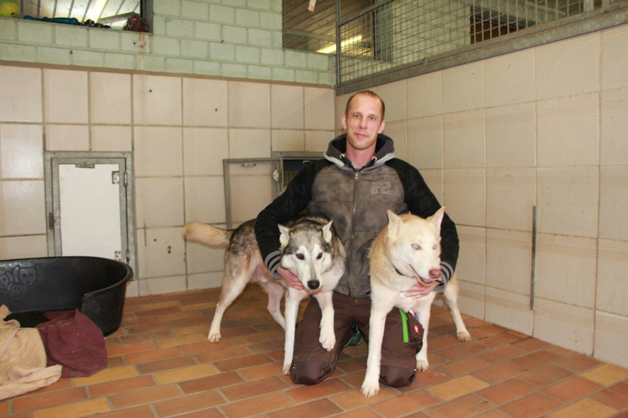 Der Auszubildende Ben van Melkebeke mit zwei der zehn Husky-Mischlinge, die vorige Woche im Tierheim eingeliefert wurden.