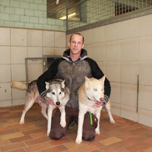 Der Auszubildende Ben van Melkebeke mit zwei der zehn Husky-Mischlinge, die vorige Woche im Tierheim eingeliefert wurden.