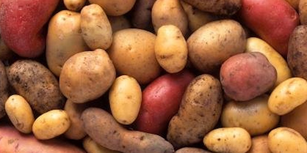Müssen nicht langweilig sein: Kartoffeln gibt es in einer großen Vielfalt.