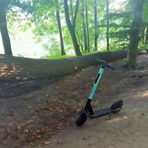 Selbst auf einem Waldweg am Decksteiner Weiher wurde bereits ein E-Scooter abgestellt.