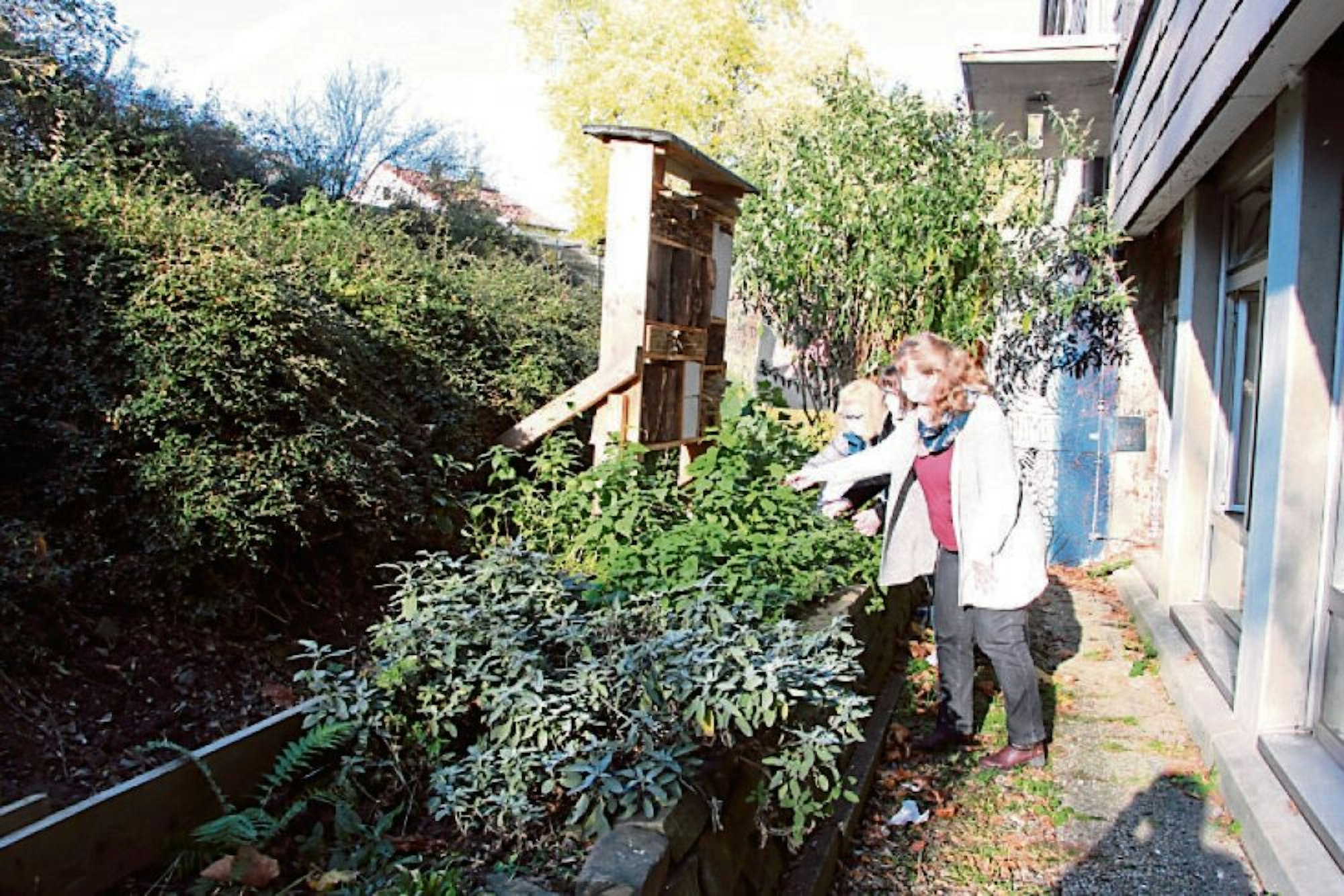 Schon vor sechs Jahren wurde eine Trockenmauer gebaut. Ilona Hammermann und Susanne Tenschert vom Förderverein begutachten sie mit Schulleiterin Monika Mattke (von links) .