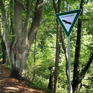 Der Waldweg ist leer: Wenn die Neuregelungen zu Touren durch Naturschutzgebiete bleiben, wollen viele Wanderführer aufhören.