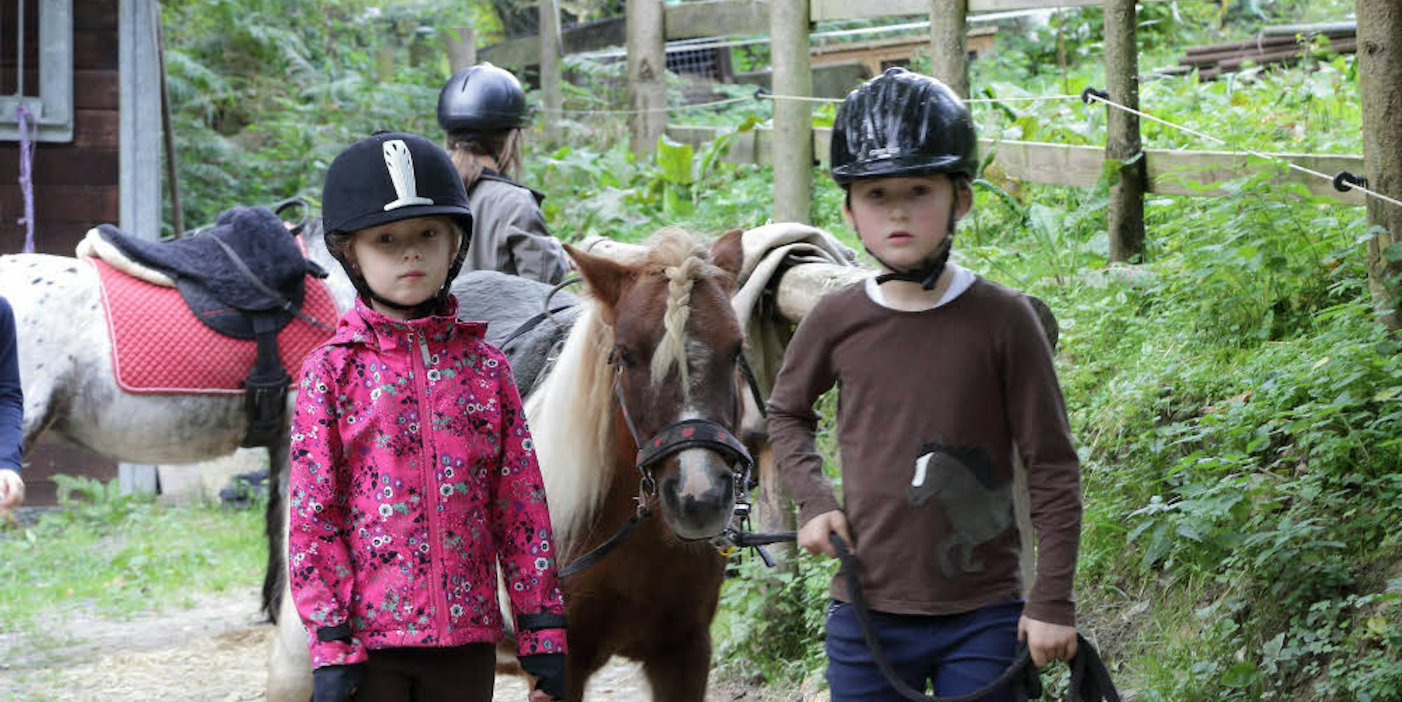 Vor allem an Kinder im Alter zwischen drei und sechs Jahren richten sich die Angebote des Ponyhofs Sonnenschein in Moitzfeld.