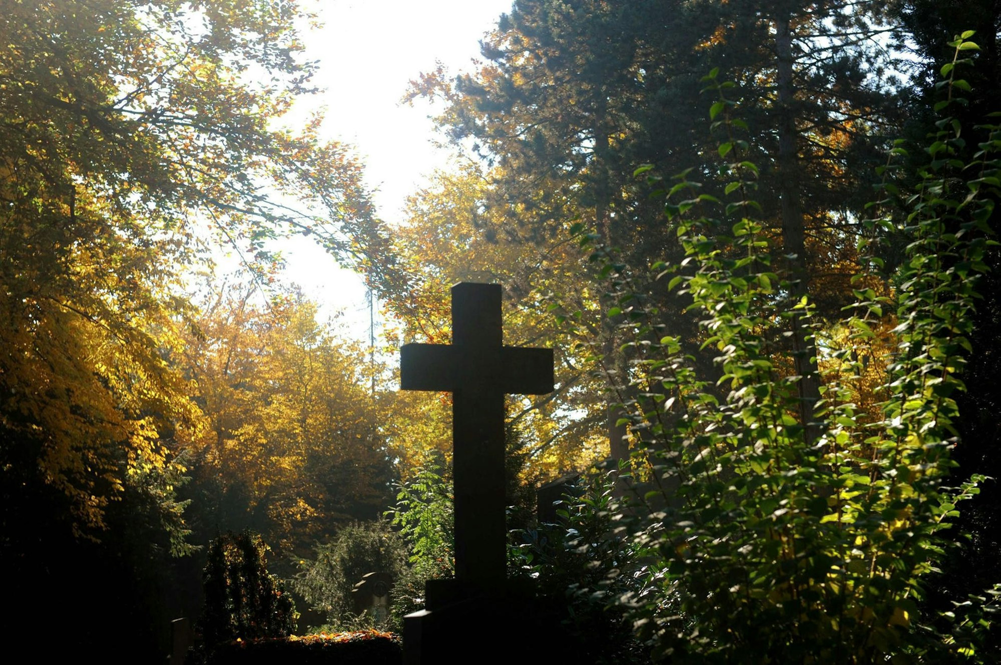 Melatenfriedhof