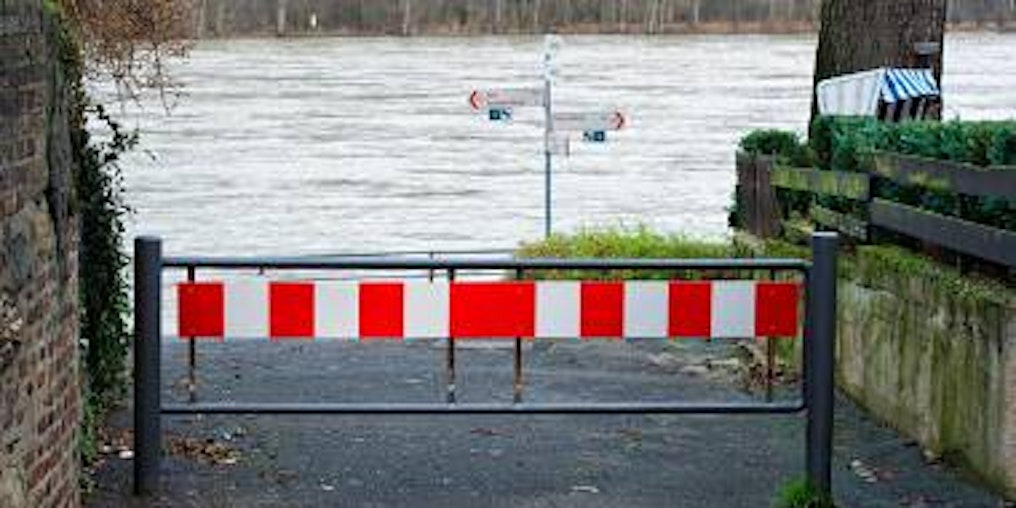 In Graurheindorf werden Hochwasserschutzmassnahmen geplant. (Bild: Lannert)
