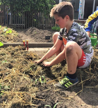 Die Schüler der Schulgarten AG sind auch dafür verantwortlich, dass die Pflanzen gepflegt und bewässert werden.