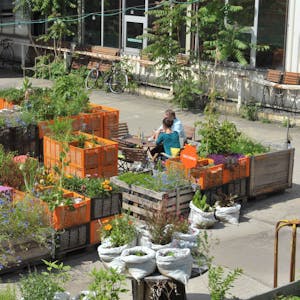 Prominentes Vorbild für Urban Gardening ist der Carlsgarten vor dem Kölner Schauspiel in Mülheim.