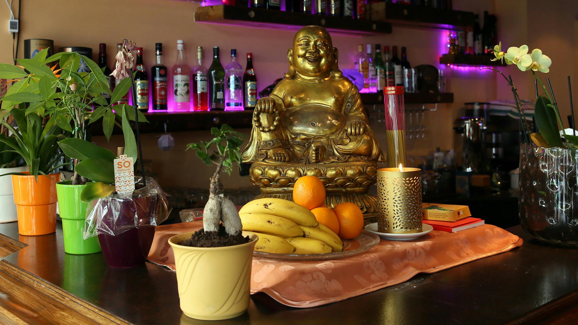auf einer Theke steht ein goldener Buddha, davor eine Obstschale, links Töpfe mit Pflanzen