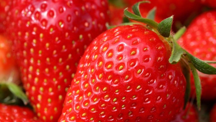 erdbeeren1