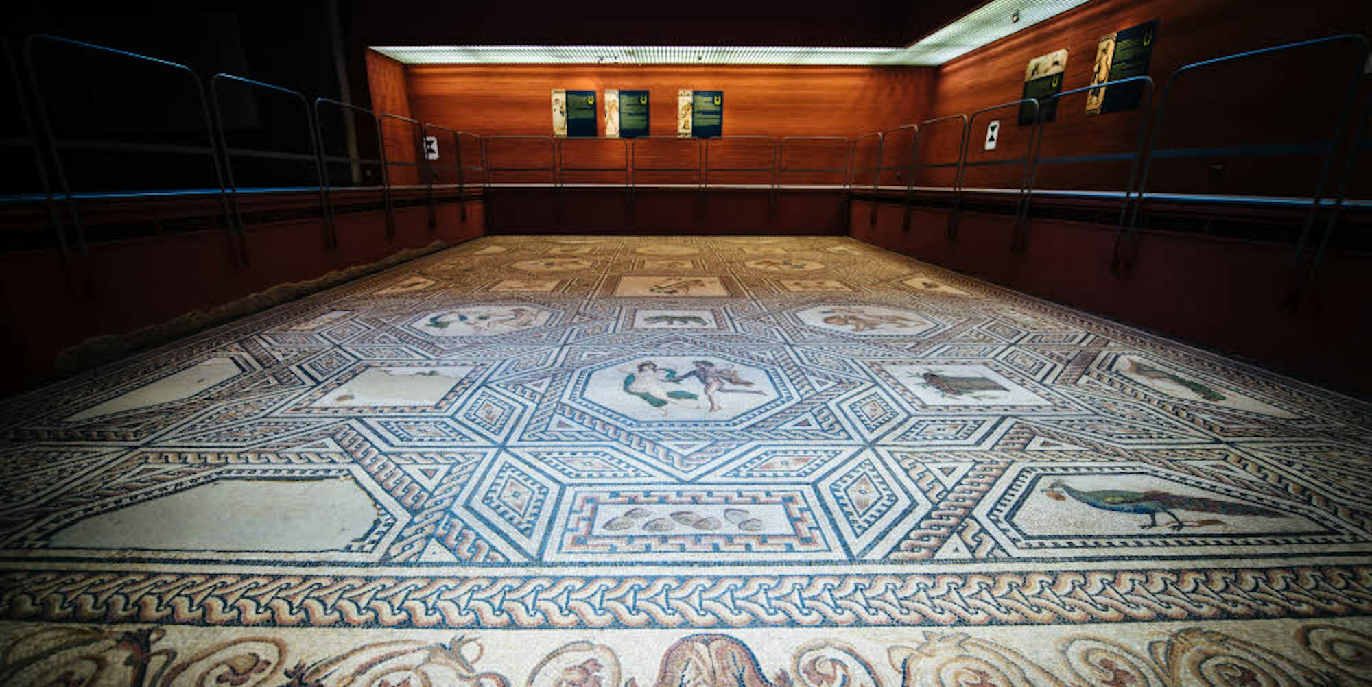 Das Dionysos-Mosaik stammt aus dem dritten Jahrhundert, es gehört zu den wichtigsten Funden der römischen Antike.