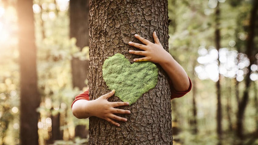 Kinderarme umarmen einen Baum mit einem aufgemalten Herz