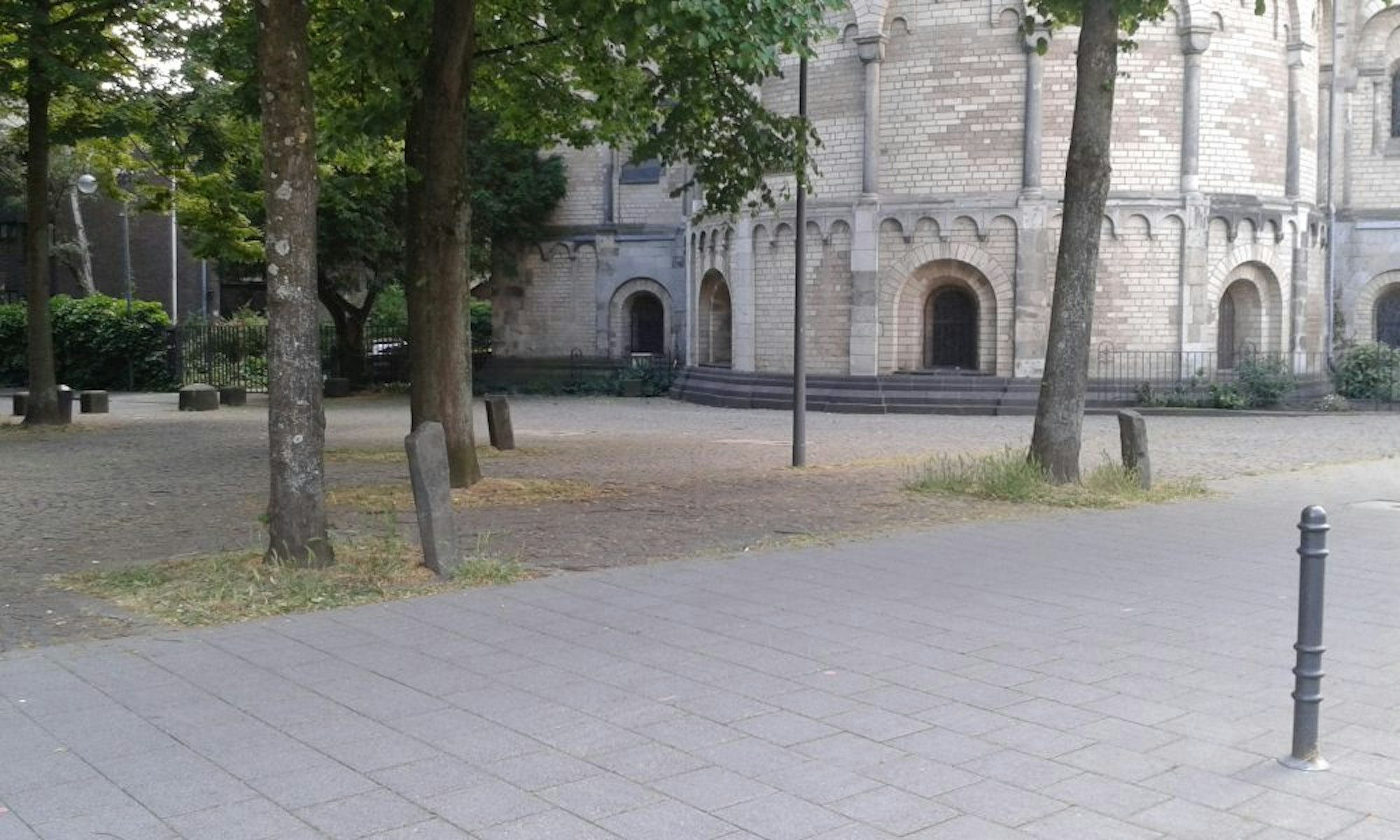 Die drei Linden mit Basaltstelen vor St. Gereon sind Ableger der „7000 Eichen“
