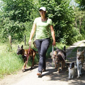 Fünf Mitglieder zählt das Rudel von Hundetrainerin Kim-Laura Jung aus Bad Münstereifel.