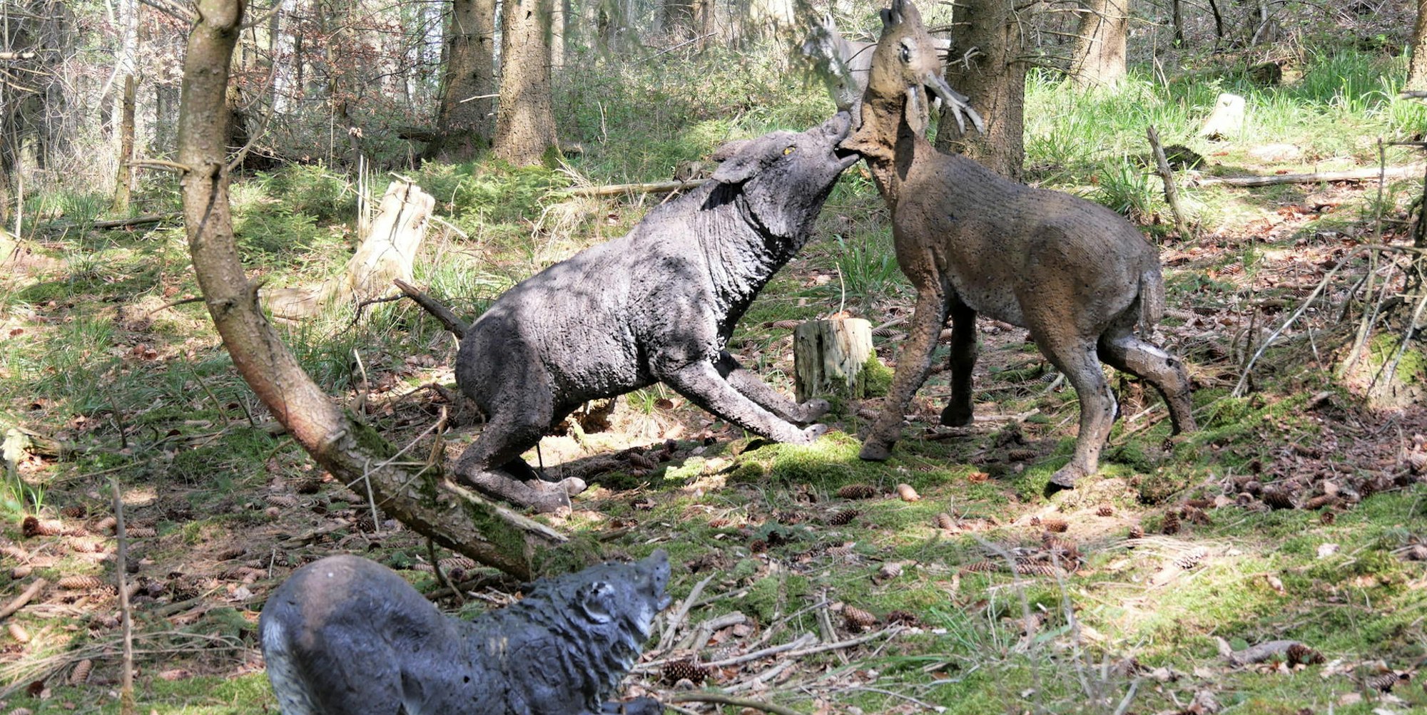 Ein Wolfsrudel attackiert eine Hirschkuh: Auf diese und andere Attrappen soll man bald im Kammerwald mit Pfeil und Bogen schießen können.