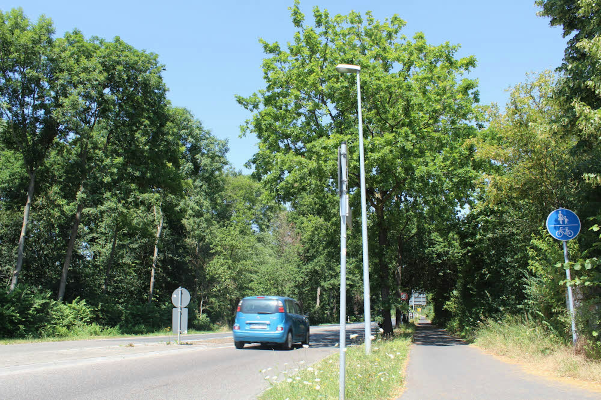 An der Ecke Mühlenweg/Rodenkirchener Straße (Bild 9) gehen wird auf der anderen Straßenseite rechts in den Park hinein.
