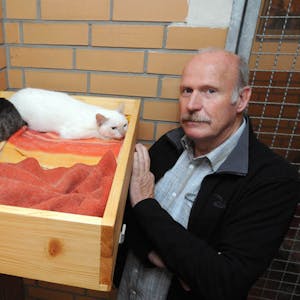 Die Katzen sind eher zurückhaltend und scheu“, erklärt Gerd Kortschlag, Leiter des Tierheims Leverkusen.