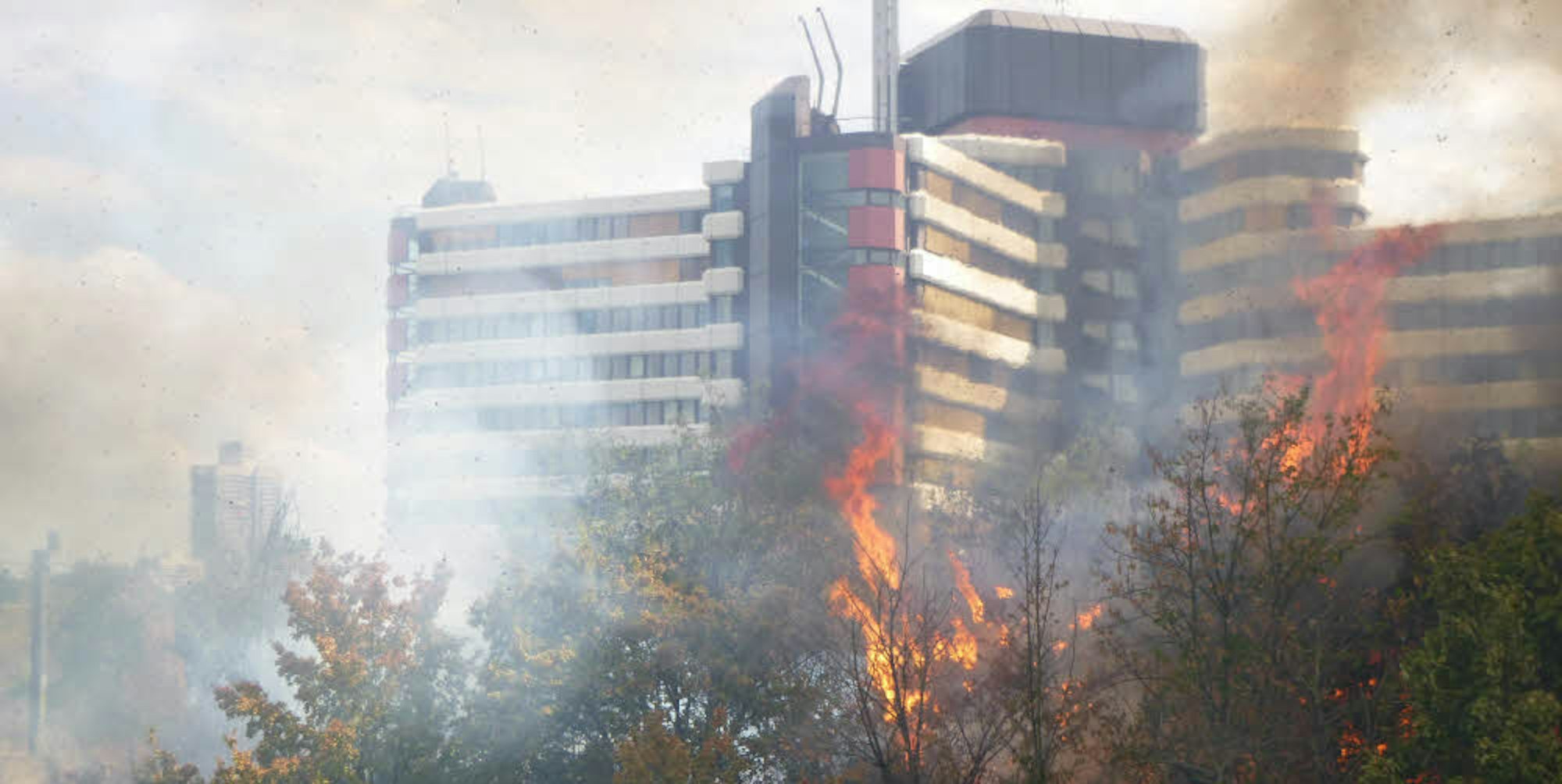 Der Buschbrand vor dem Bundesverwaltungsamt in Niehl sorgte jüngst für einen größeren Feuerwehreinsatz.