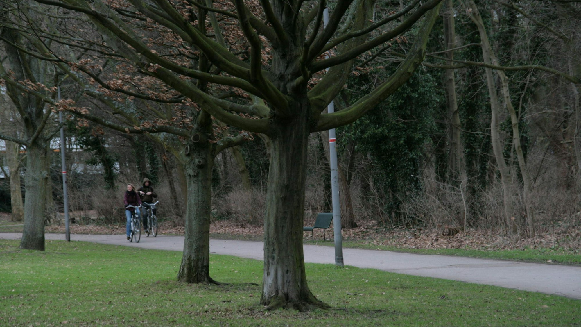 Radfahrer auf einem Weg durch einen Park