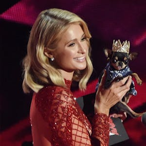 Paris Hilton sucht ihren Hund