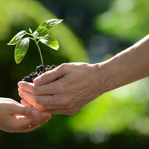 GettyImages große Hand hält Erde mit Pflanze, kleine darunter Symbol_Credit_