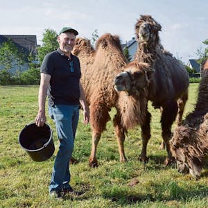Die exotischen Vierbeiner sind sein Hobby: Dieter Pierkes, hier mit seinem jungen Helfer Felix, beim Versorgen die Kamele,