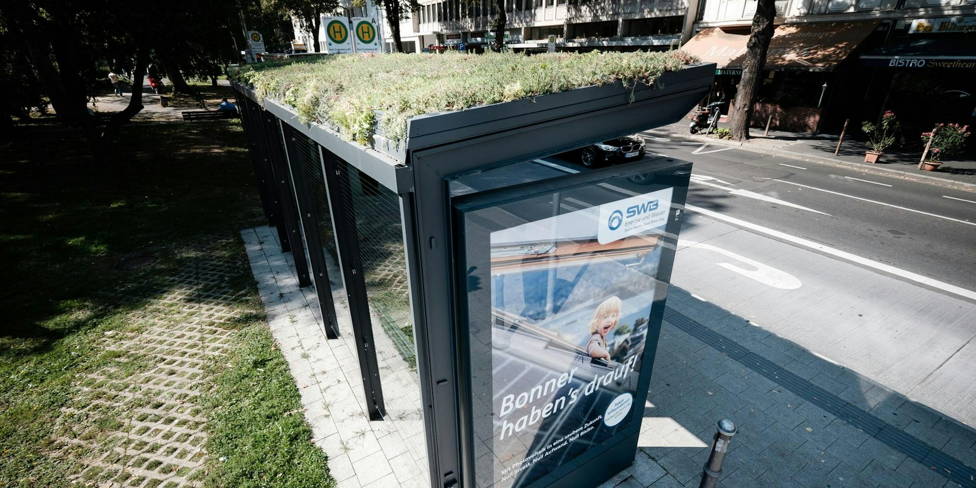 Bushaltestelle in Bonn Bad Godesberg zum Klimaschutz begrünt