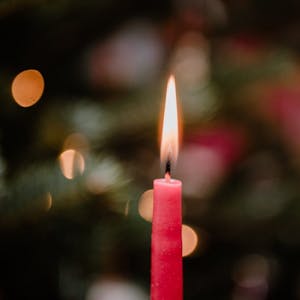 Noch einmal die Kerzen am Weihnachtsbaum leuchten zu sehen ist für manche Sterbende wichtig.