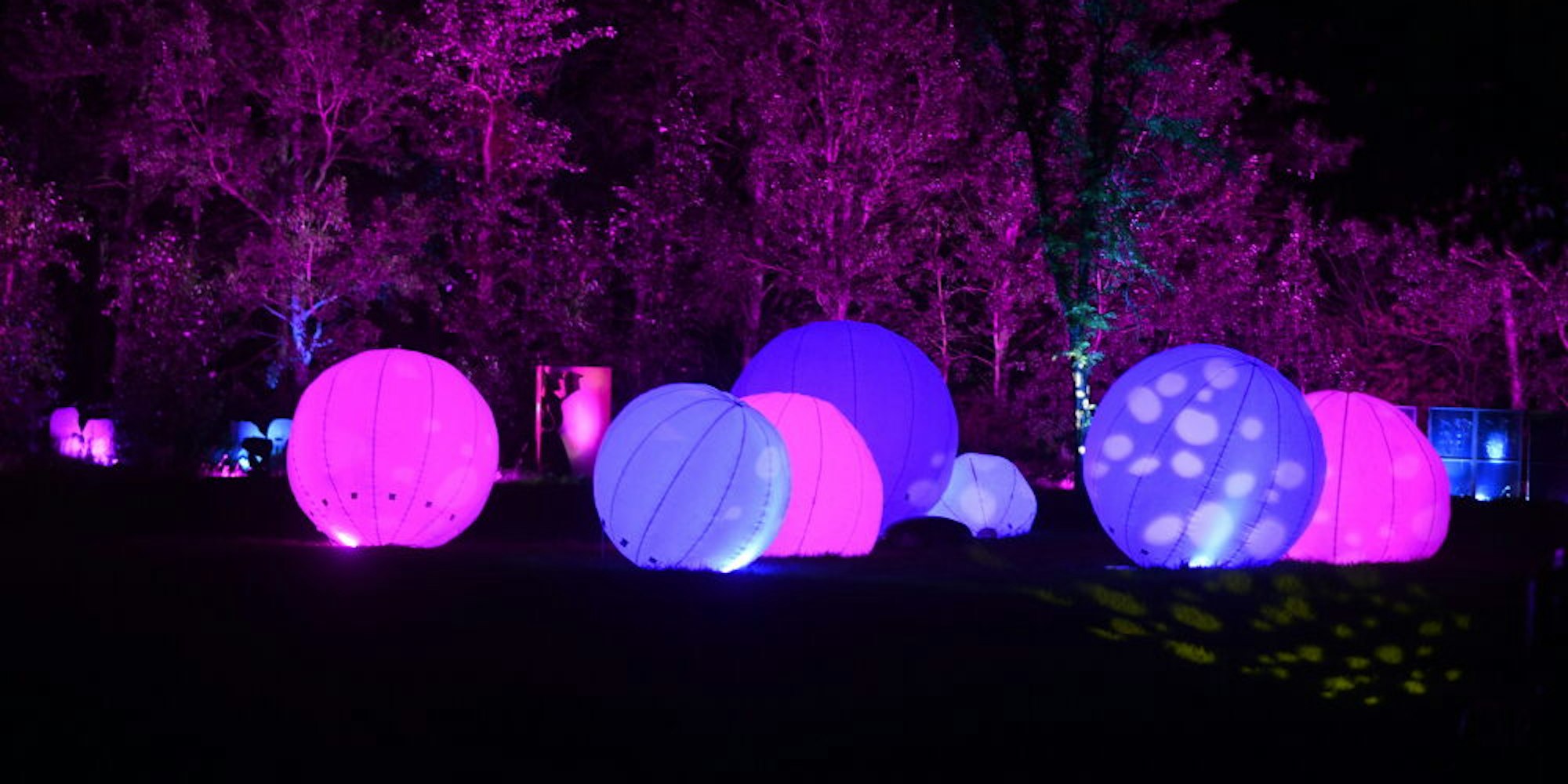 Diverse Lichtshows mit unterschiedlichen beleuchteten Objekten können sich die Gäste anschauen.