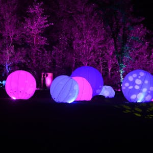 Diverse Lichtshows mit unterschiedlichen beleuchteten Objekten können sich die Gäste anschauen.