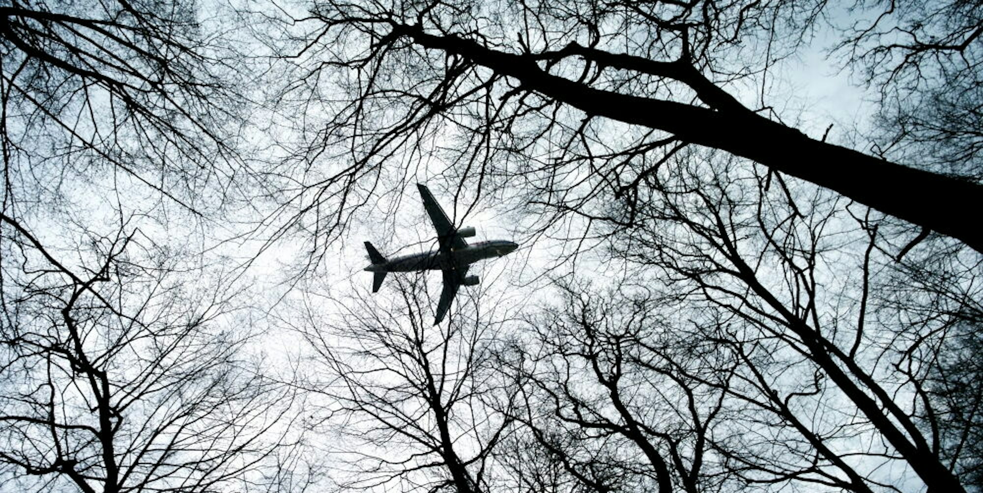 Ein Flugzeug über einem Waldgebiet. (Symbolbild)