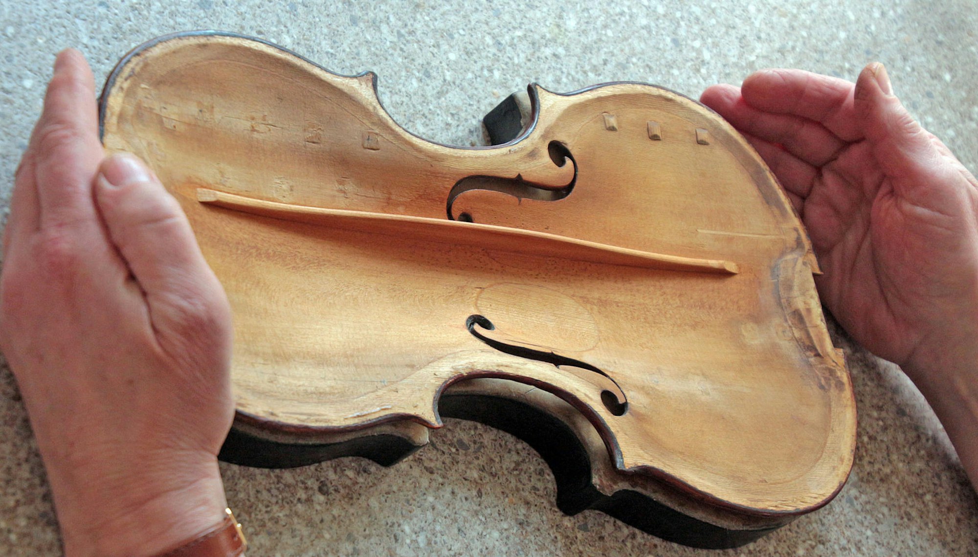 Der Corpus einer Violine