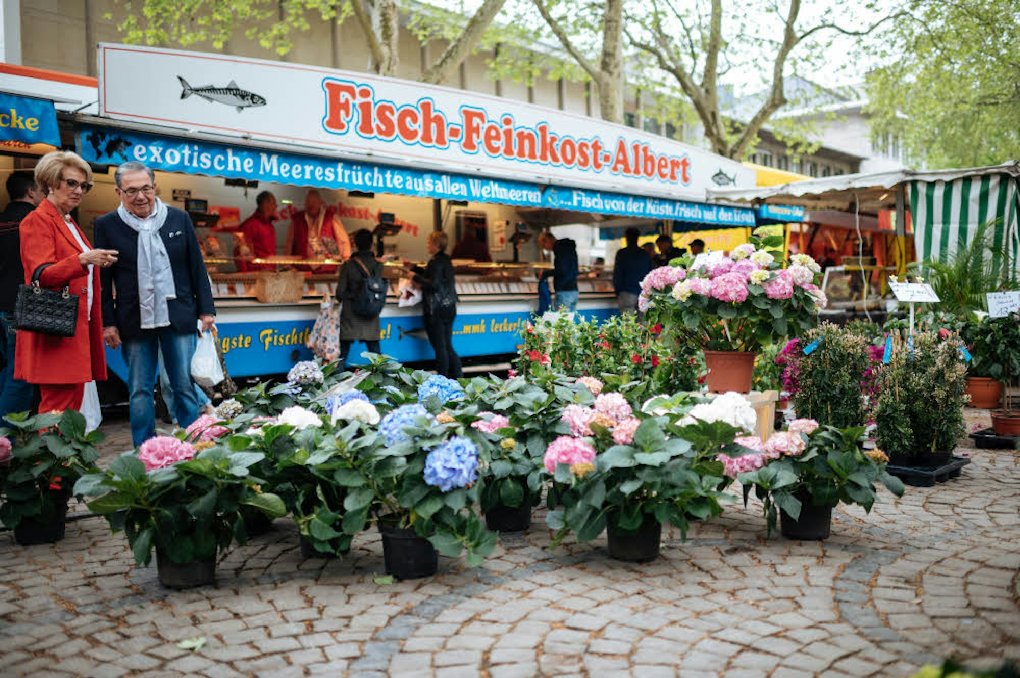 Blumen, Fisch und zwischendurch ein Kaffee: Mehr als 20 Händler bieten neben St. Aposteln ihre Produkte an.
