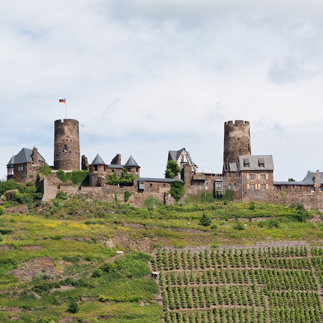 Von Weinbergen umgeben – die Nordwestansicht der Burg Thurant