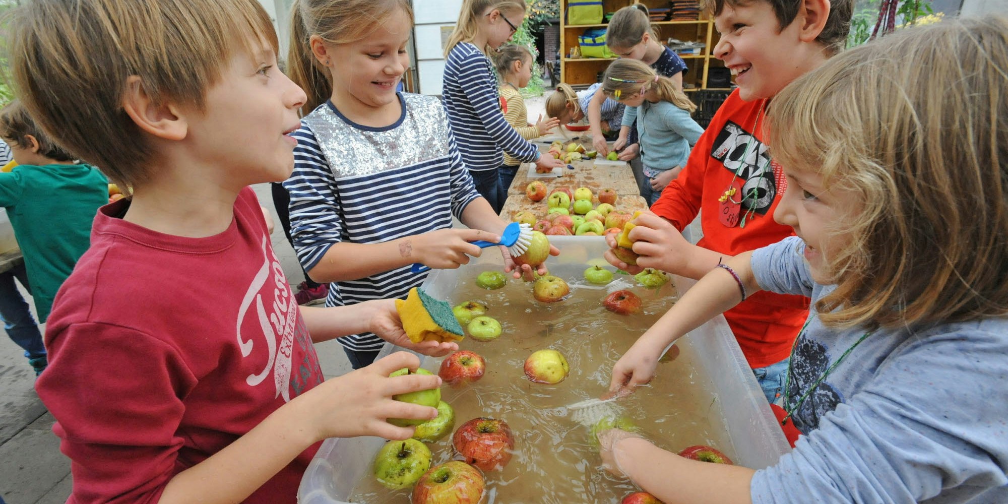 Nach dem Sammeln mussten die Äpfel zunächst gründlich gewaschen werden.