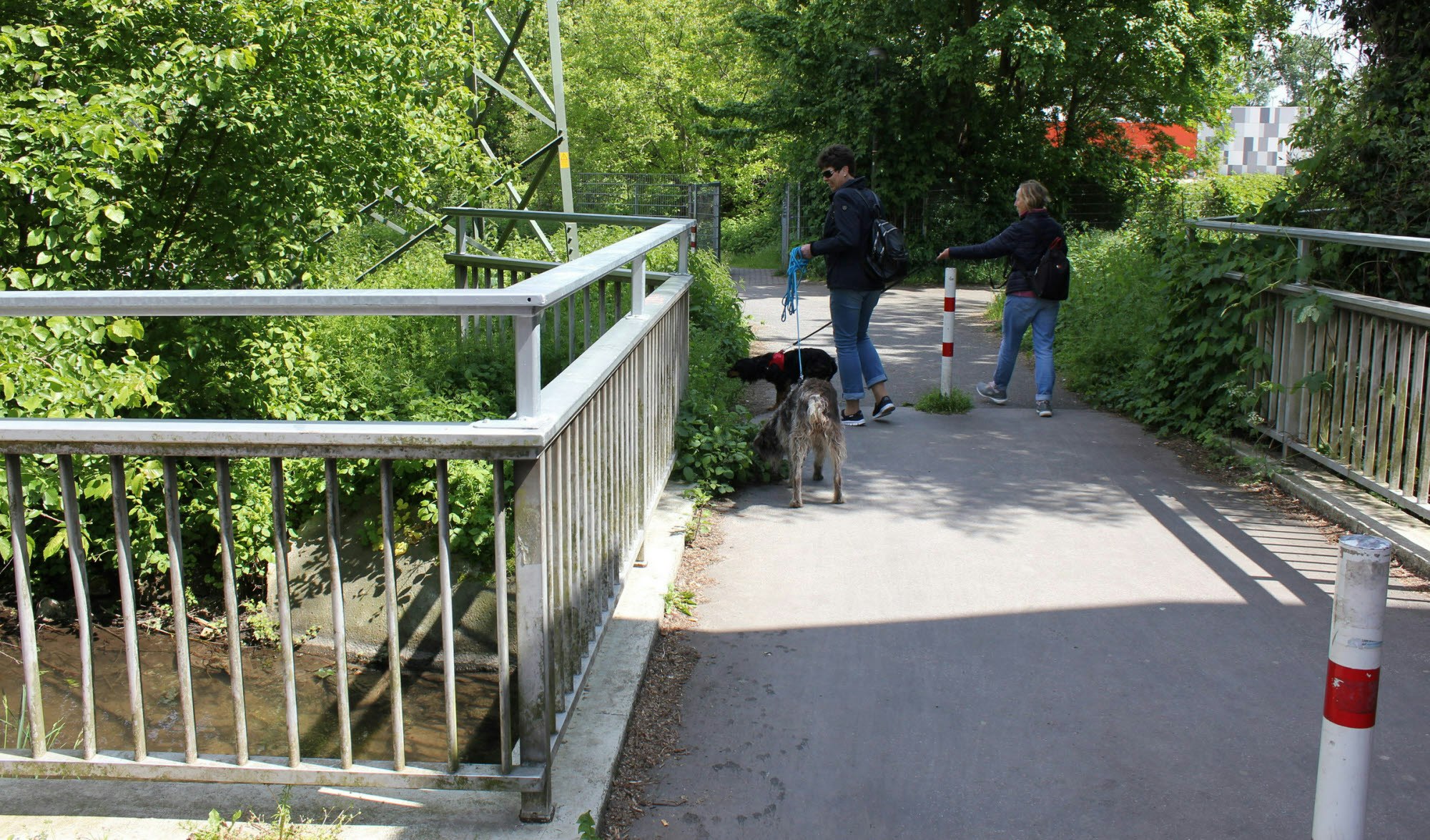 Die zum Abriss vorgesehene Brücke liegt direkt am Hintereingang der Gesamtschule Holweide und somit auf dem Schulweg vieler Schüler.