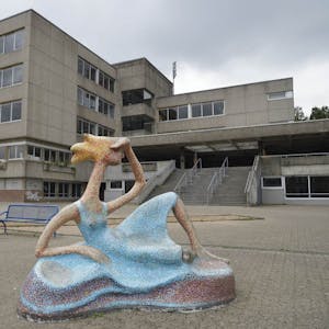 Hat die künftige neue Schule in Rösrath fest „im Blick“: Die Skulptur , die vor dem Freiherr-vom-Stein-Schulzentrum steht.