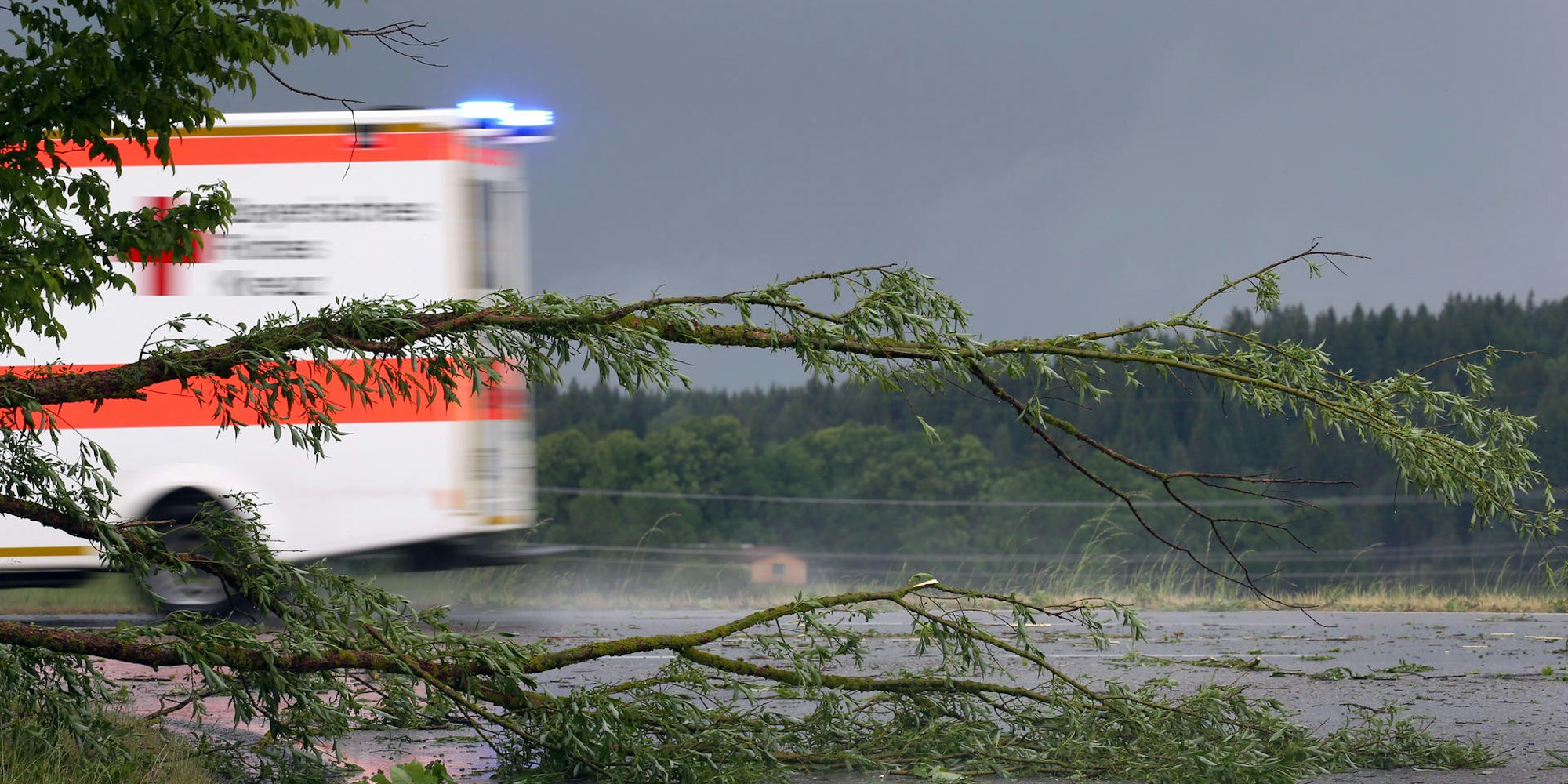 Rettungswagen Baum Symbolbild