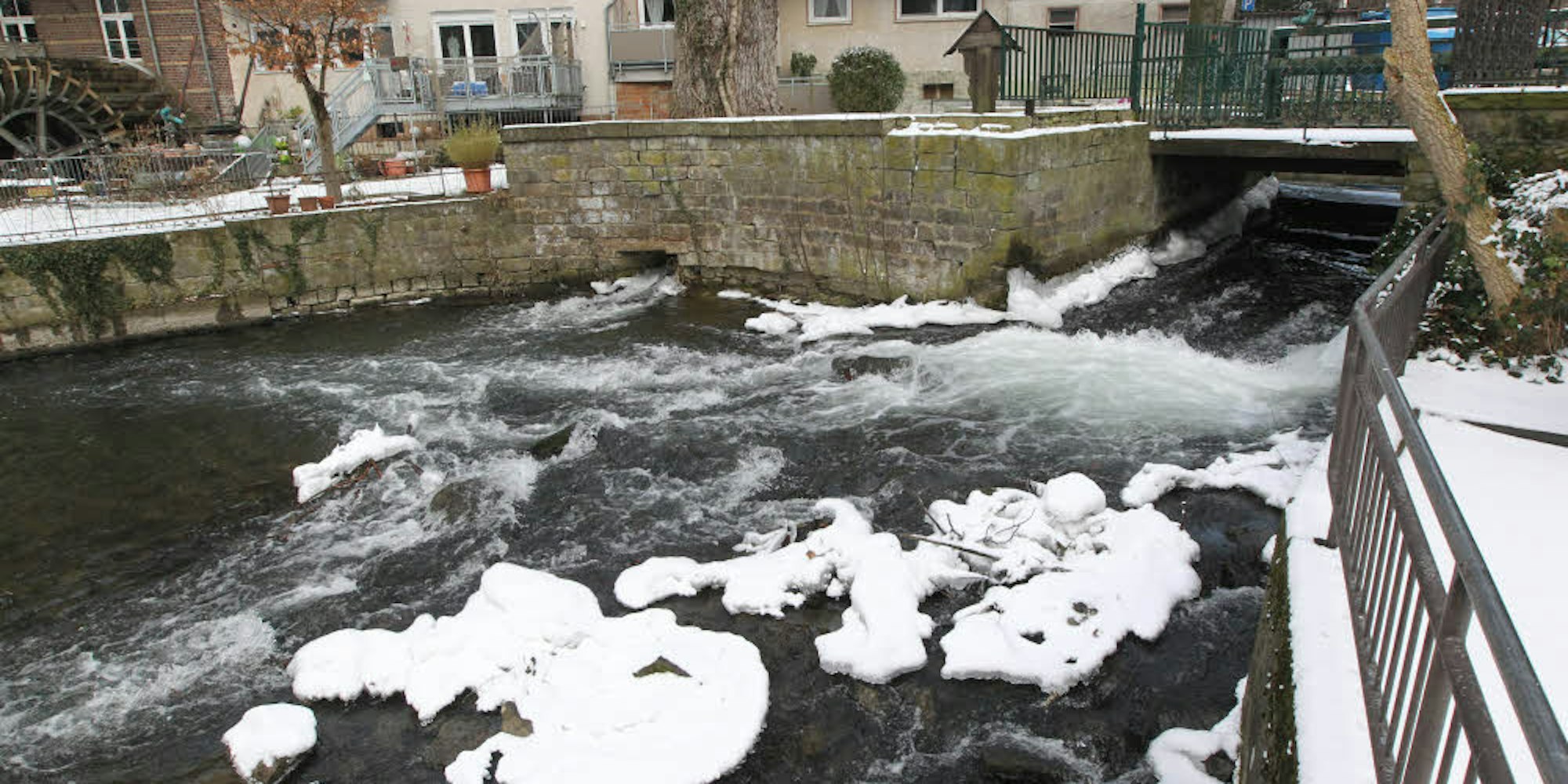 Eisig kommt das Wasser nahe der Stadtmühle daher, die Fische fahren ihren Stoffwechsel herunter und bewegen sich kaum.