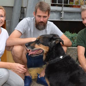 Vor elf Jahren haben sie ihre Hündin Nera „adoptiert“: Tanja Knust und Rene Weschenbach aus Bergheim mit Tierheim-Chef Bernd Schinzel (v.l.).
