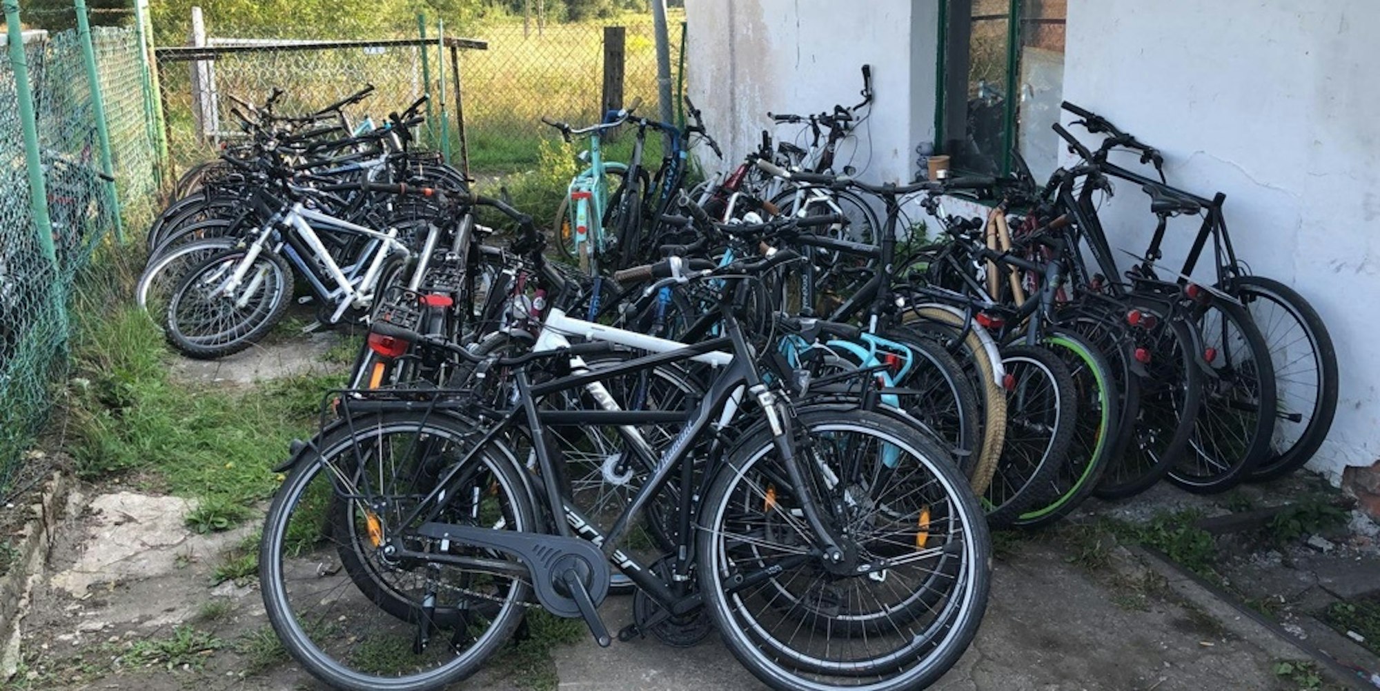 Fahrräder Bonn Polen