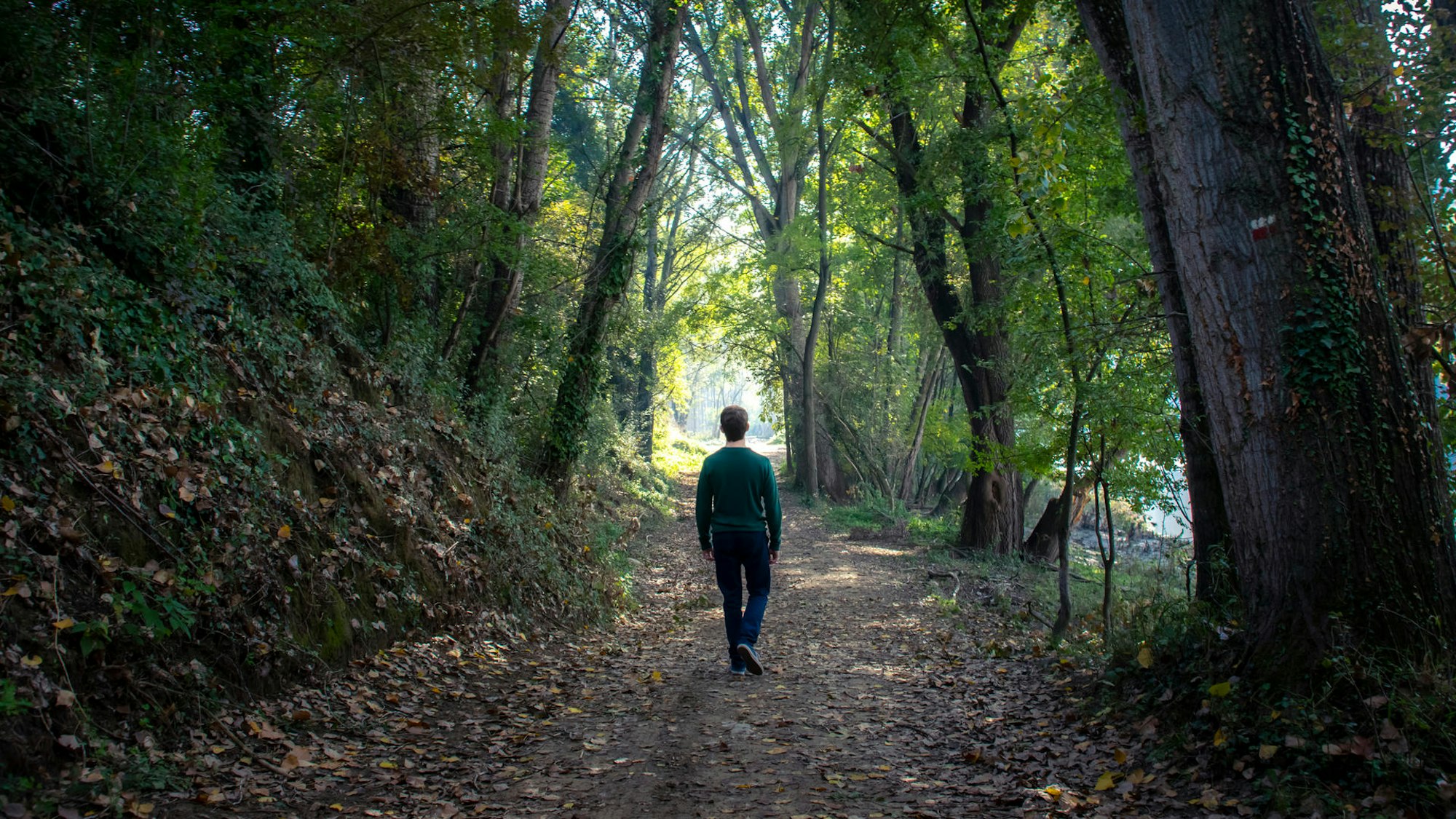 ein Mann läuft durch einen Wald