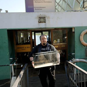 Maik Schössow transportiert eines von vielen Aquarien aus der Ökologischen Rheinstation.