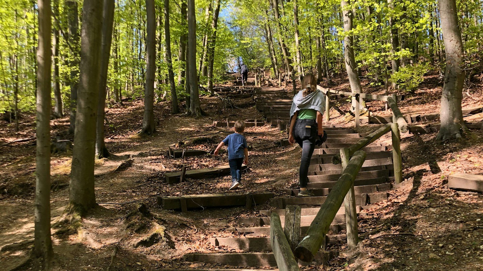 Kinder laufen eine Treppe im Wald hoch