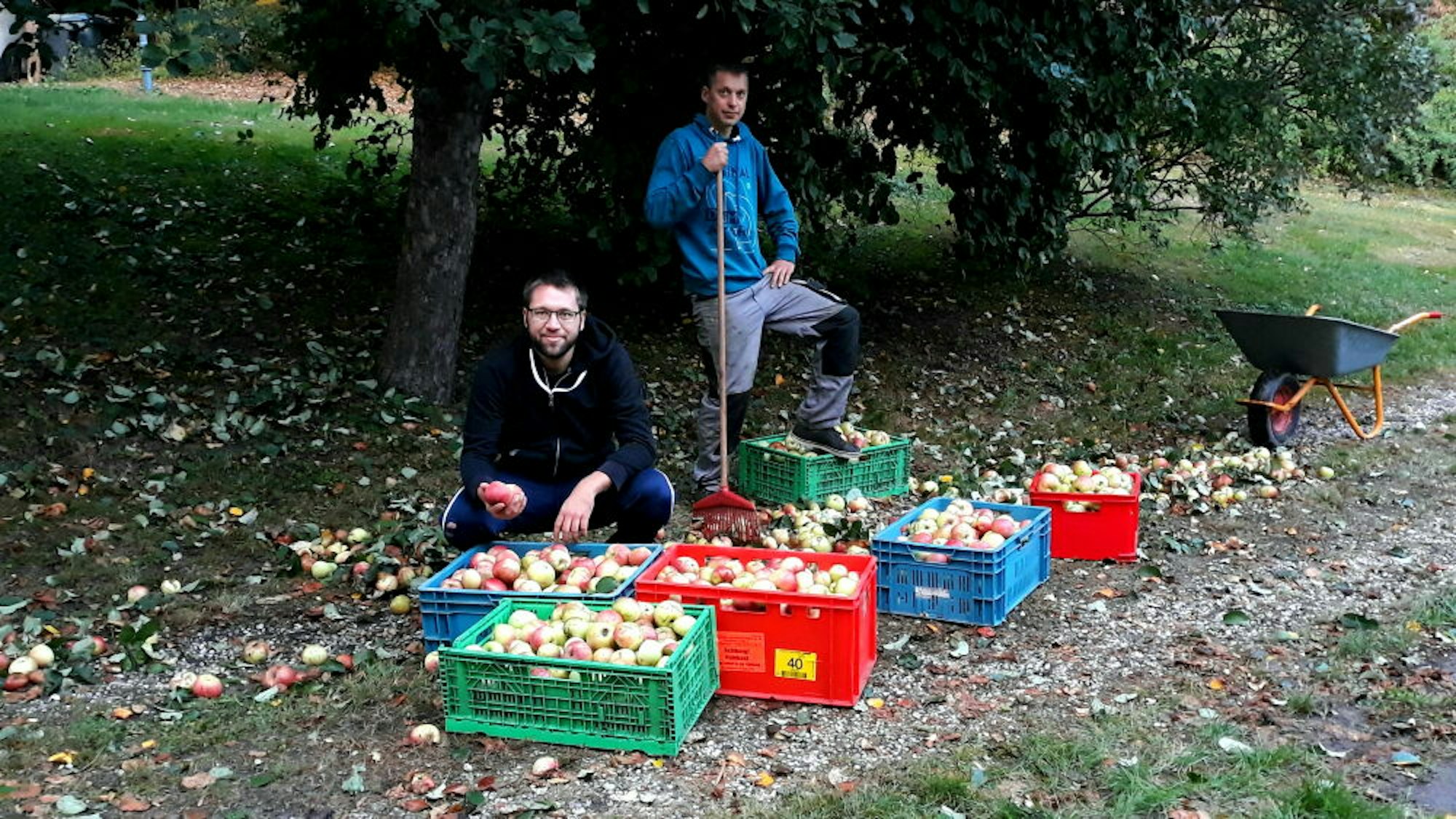 320 Kilo Äpfel wurden gesammelt.