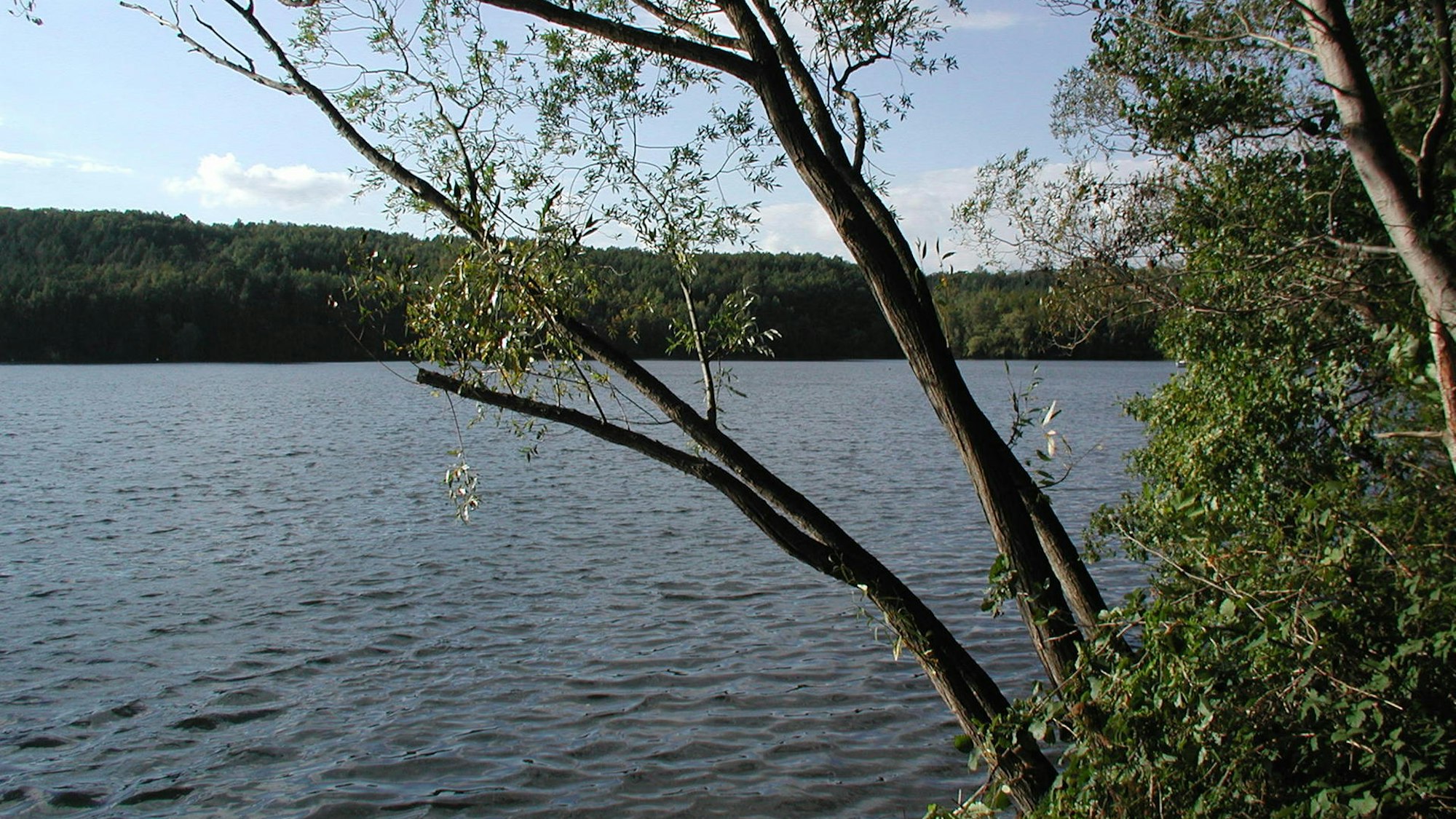 Der Heider Bergsee liegt im Rhein-Erft-Kreis in NRW.